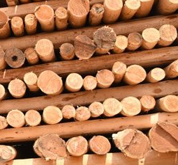 1516433341580946.png QQ截圖20180120153808.png